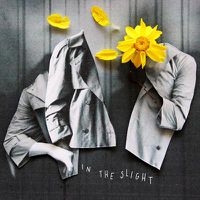 Cover image for In The Slight 
