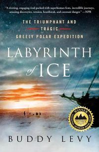 Cover image for Labyrinth of Ice: The Triumphant and Tragic Greely Polar Expedition