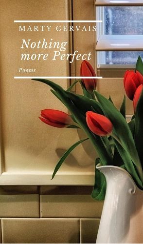Cover image for Nothing More Perfect