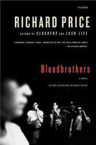 Cover image for Bloodbrothers