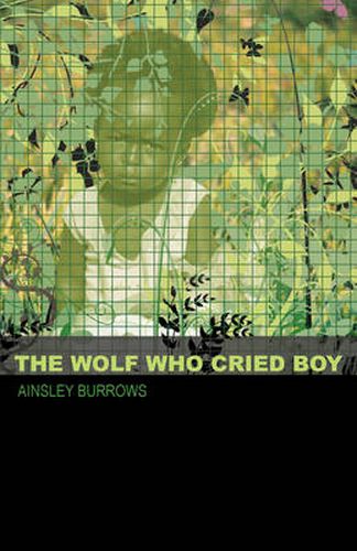 Cover image for The Wolf Who Cried Boy