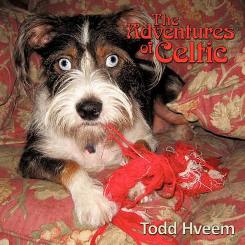 Cover image for The Adventures of Celtic