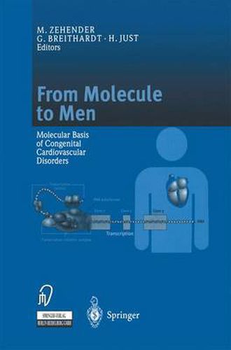 Cover image for From Molecule to Men: Molecular Basis of Congenital Cardiovascular Disorders