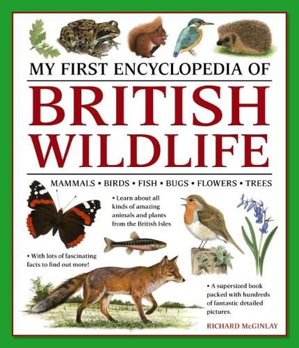 Cover image for My First Encyclopedia of British Wildlife: Mammals, Birds, Fish, Bugs, Flowers, Trees