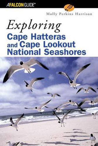 Cover image for Exploring Cape Hatteras and Cape Lookout National Seashores