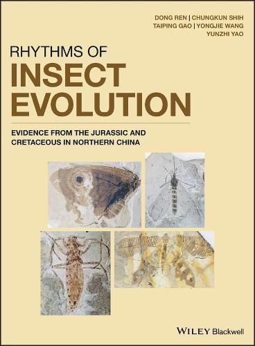 Cover image for Rhythms of Insect Evolution - Evidence from the Jurassic and Cretaceous in Northern China