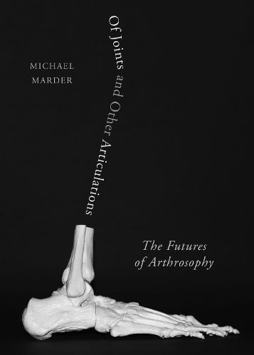 Cover image for Of Joints and Other Articulations