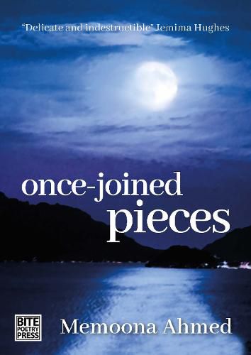 Cover image for Once-joined pieces