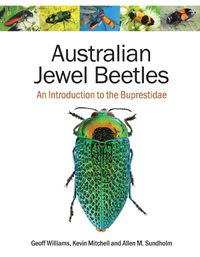 Cover image for Australian Jewel Beetles