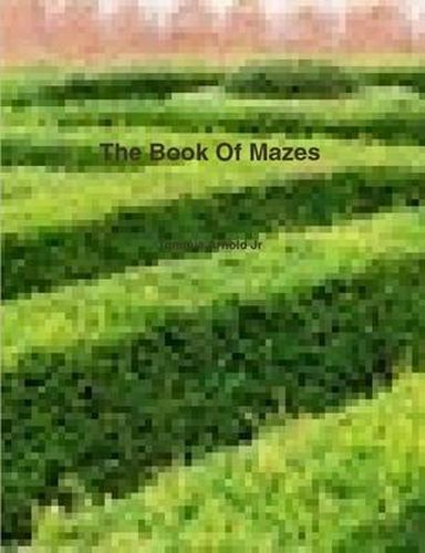 Cover image for The Book Of Mazes