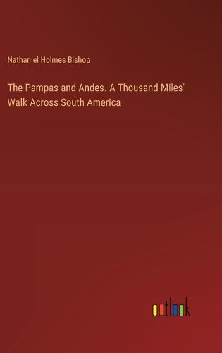 The Pampas and Andes. A Thousand Miles' Walk Across South America