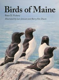 Cover image for Birds of Maine