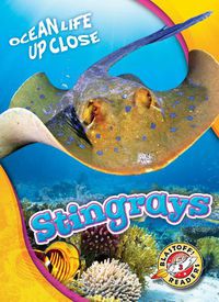 Cover image for Stingrays