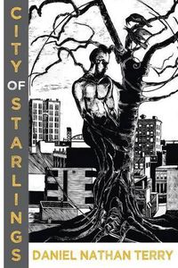 Cover image for City of Starlings