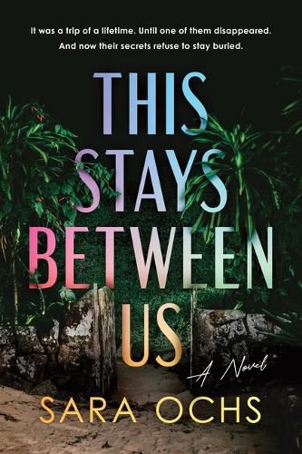 Cover image for This Stays Between Us