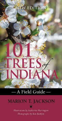 Cover image for 101 Trees of Indiana