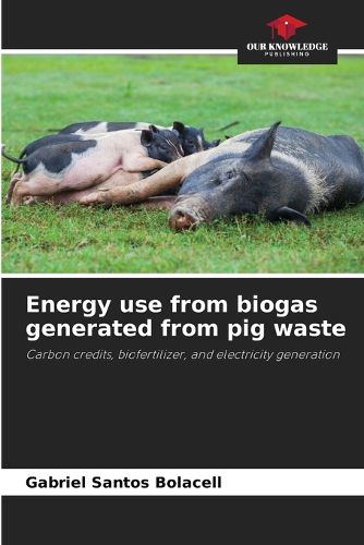 Cover image for Energy use from biogas generated from pig waste