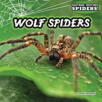 Cover image for Wolf Spiders