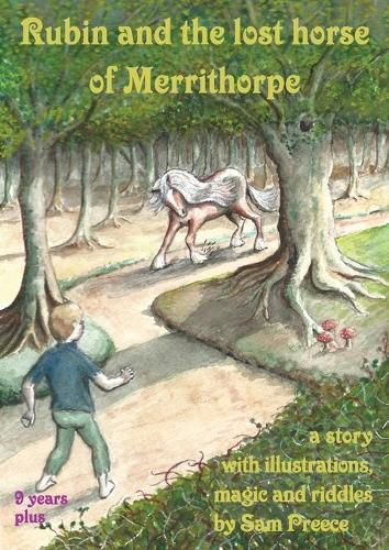 Cover image for Rubin and the lost horse of Merrithorpe: A story with illustrations, magic and riddles