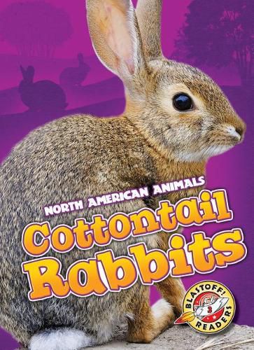 Cottontail Rabbits