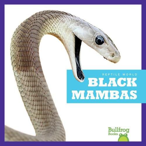 Cover image for Black Mambas