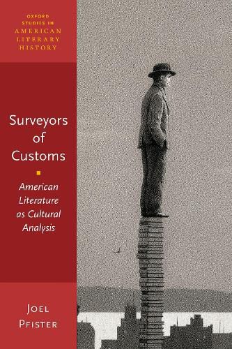 Cover image for Surveyors of Customs: American Literature as Cultural Analysis