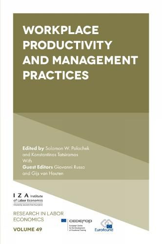 Cover image for Workplace Productivity and Management Practices