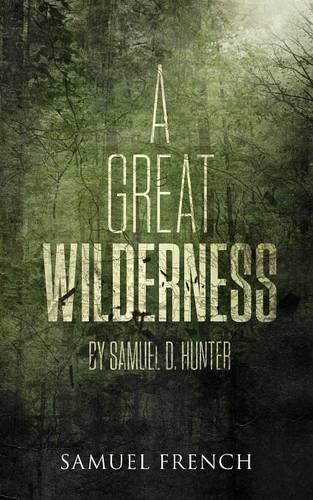 Cover image for A Great Wilderness