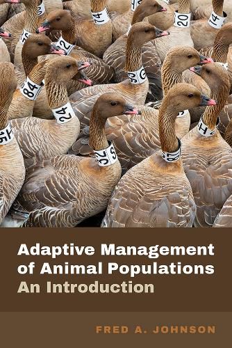 Cover image for Adaptive Management of Animal Populations