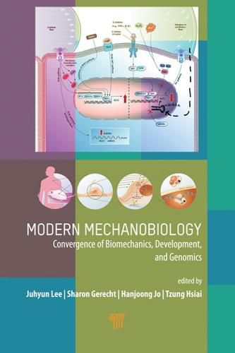 Cover image for Modern Mechanobiology: Convergence of Biomechanics, Development, and Genomics