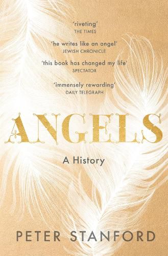 Cover image for Angels: A History