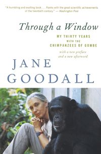 Cover image for Through a Window: My Thirty Years with the Chimpanzees of Gombe