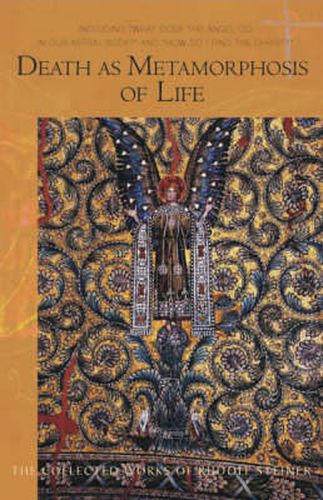 Cover image for Death as Metamorphosis of Life