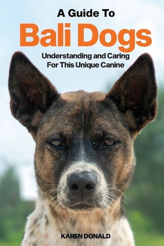 Cover image for A Guide to Bali Dogs