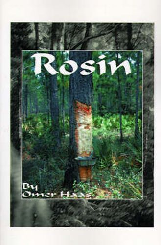 Cover image for Rosin