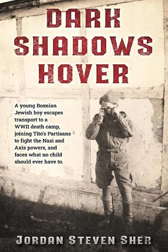 Cover image for Dark Shadows Hover