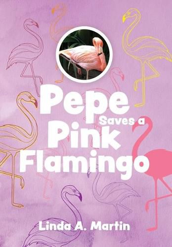 Cover image for Pepe Saves a Pink Flamingo