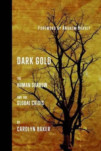 Cover image for Dark Gold: The Human Shadow and the Global Crisis