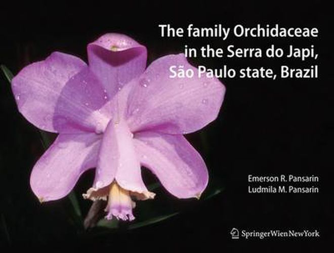 Cover image for The Family Orchidaceae in the Serra do Japi, Sao Paulo state, Brazil