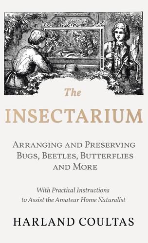 Insectarium - Collecting, Arranging and Preserving Bugs, Beetles, Butterflies and More - With Practical Instructions to Assist the Amateur Home Natura