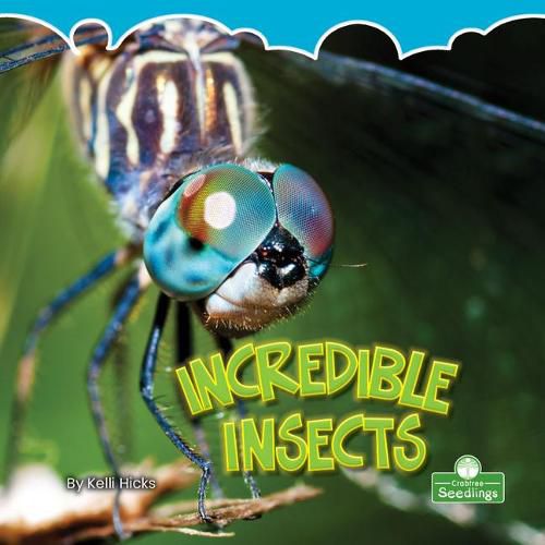 Incredible Insects