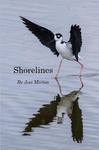 Cover image for Shorelines