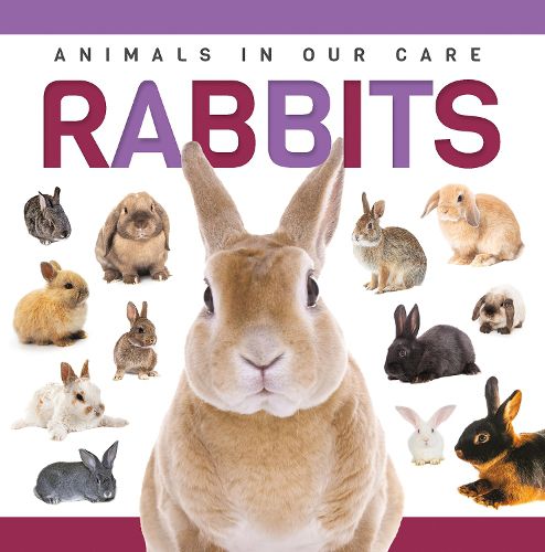 Cover image for Rabbits