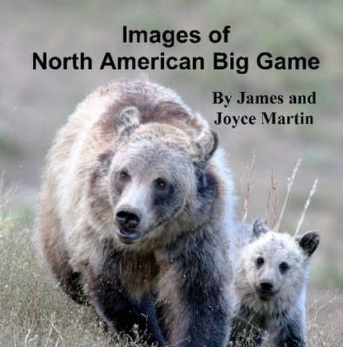 Cover image for Images of North American Big Game