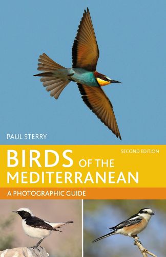 Cover image for Birds of the Mediterranean: A Photographic Guide
