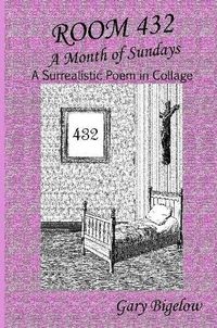 Cover image for Room 432