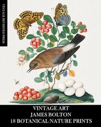 Cover image for Vintage Art: James Bolton: 18 Botanical Nature Prints: Ephemera for Framing, Home Decor, Collage and Decoupage