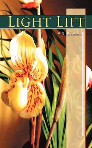 Cover image for Light Lift