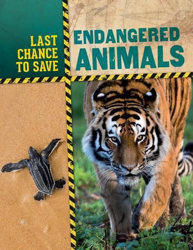 Cover image for Endangered Animals