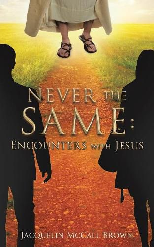 Cover image for Never the Same: Encounters with Jesus